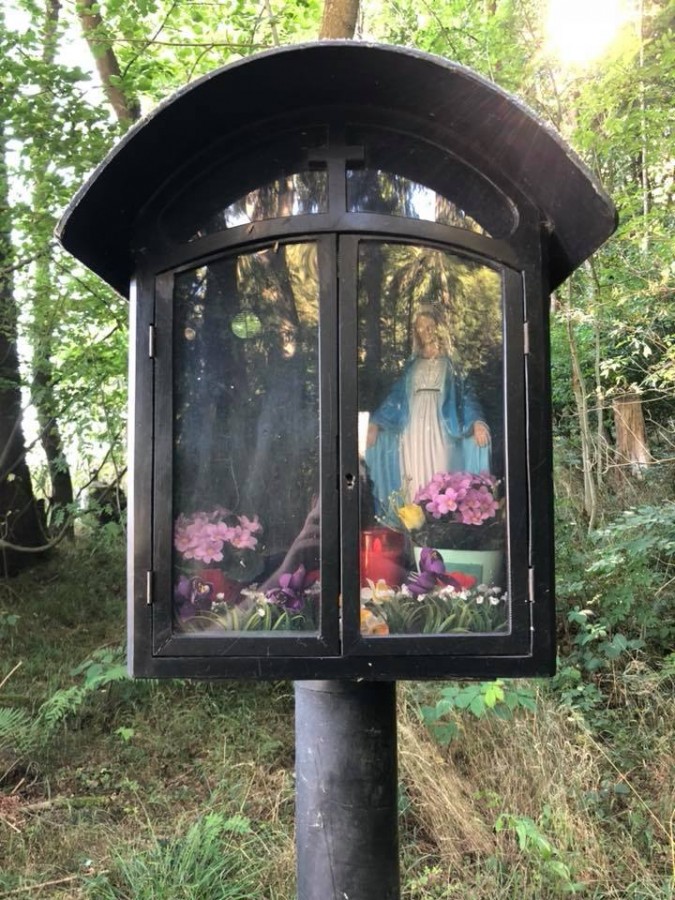 Foto 1