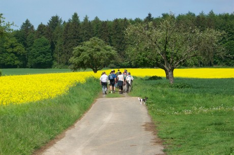 Tour-Bild